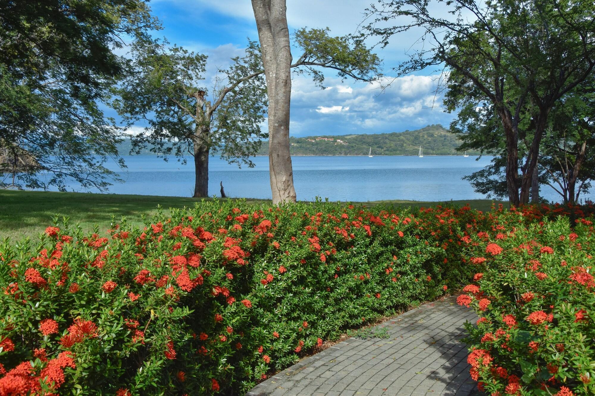 Hotel Papagayo Golden Palms Beachfront 4*
