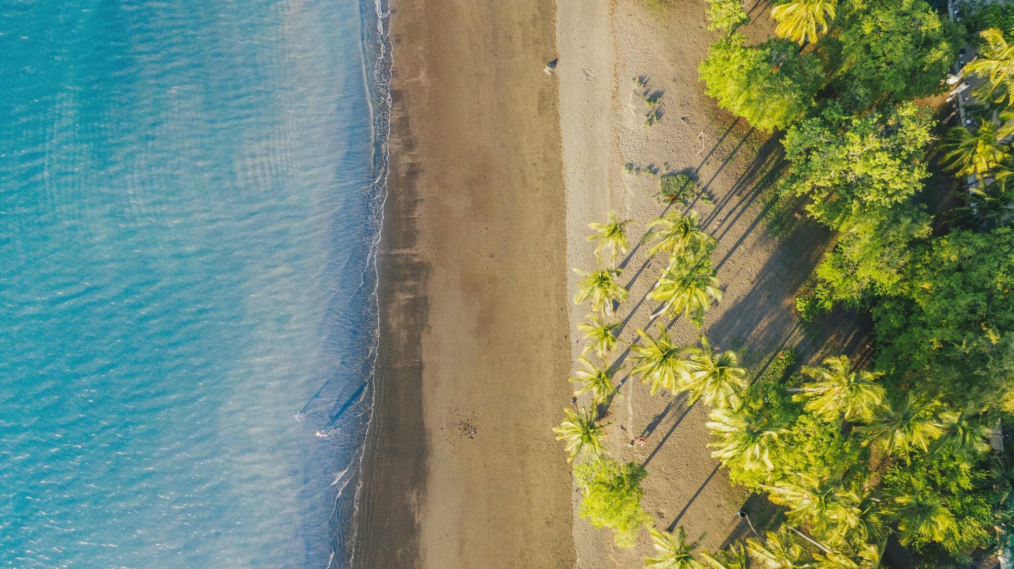 Papagayo Golden Palms Beachfront 4*